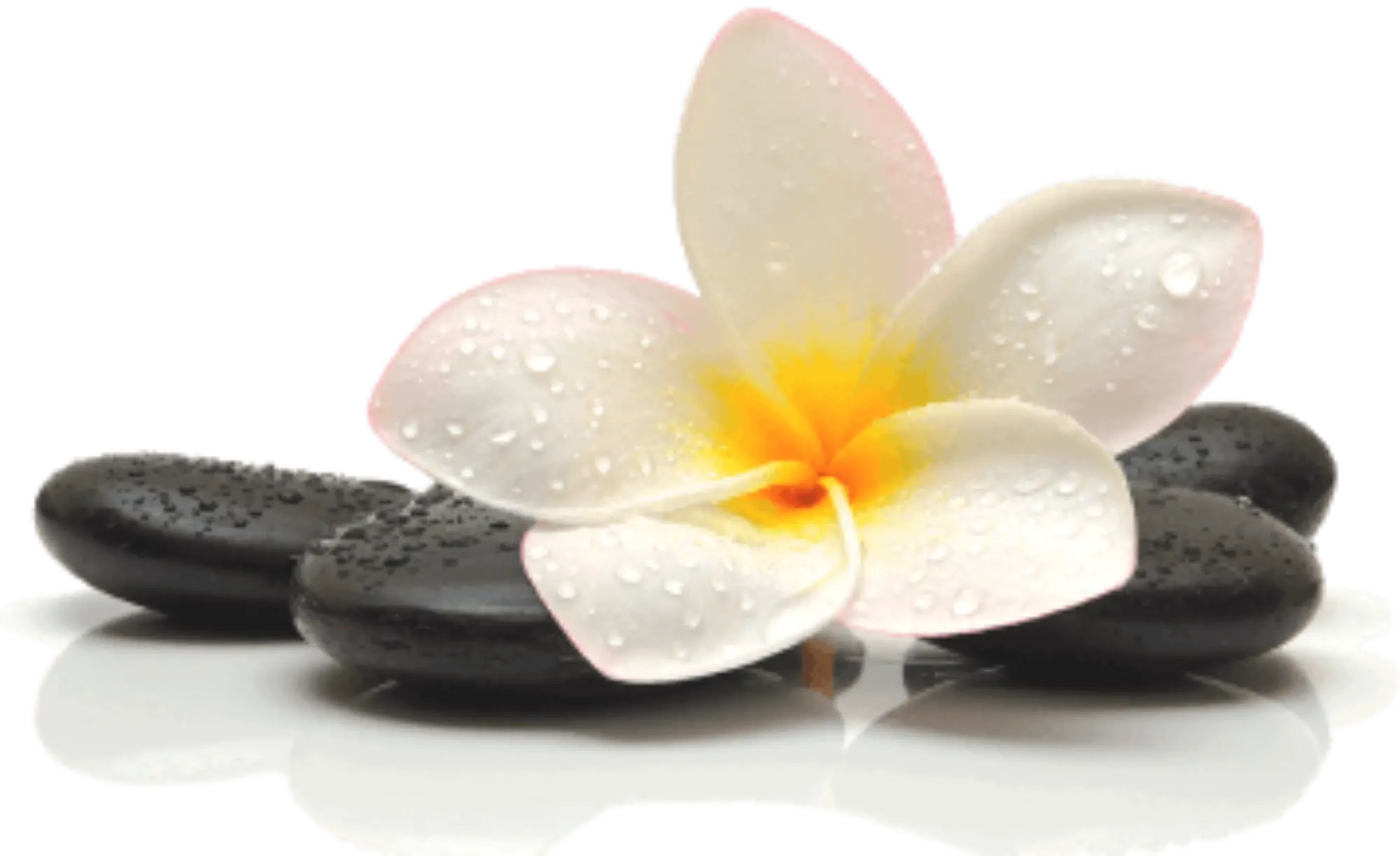 Lucie Malichecq – Soins énergétiques, Reiki, Hypnose et Massages à Ambarès-et-Lagrave, Saint-Loubès et alentours
